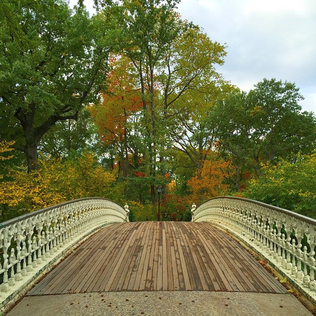 bridge-central-park