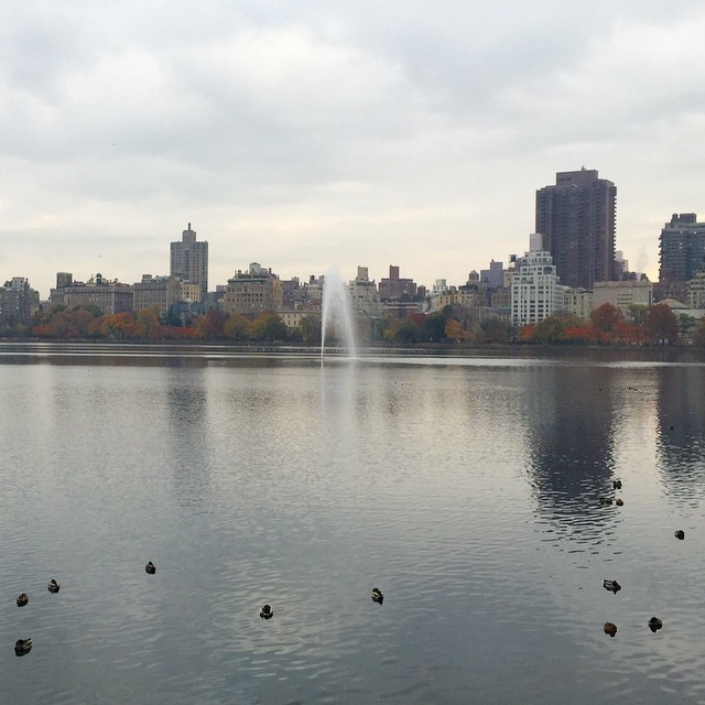 central-park-nyc