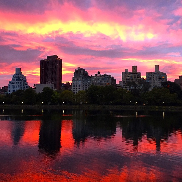 NYC Guide Sunrises in Central Park Elana Lyn